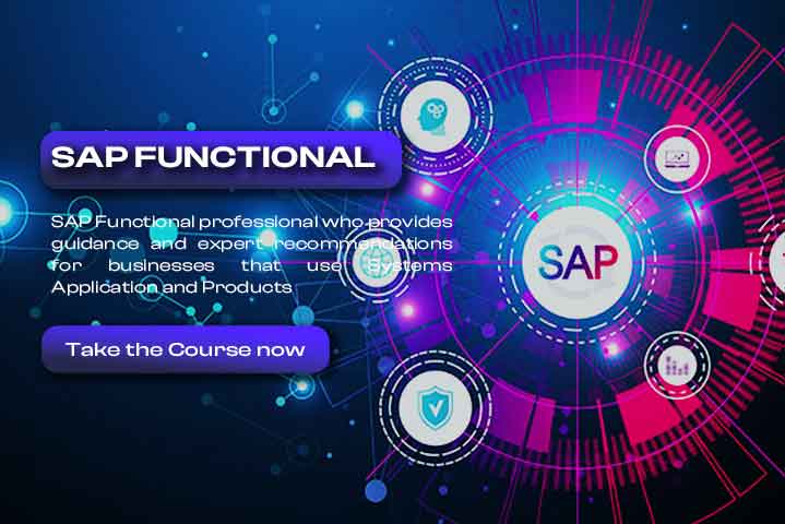 SAP-functional-ver1